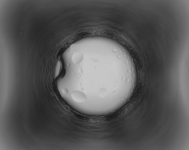 X0000083000757200703020904