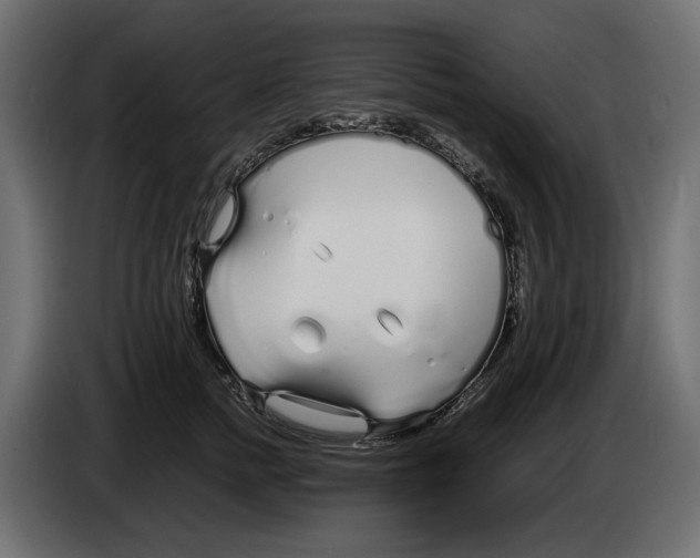 X0000083000758200703020904