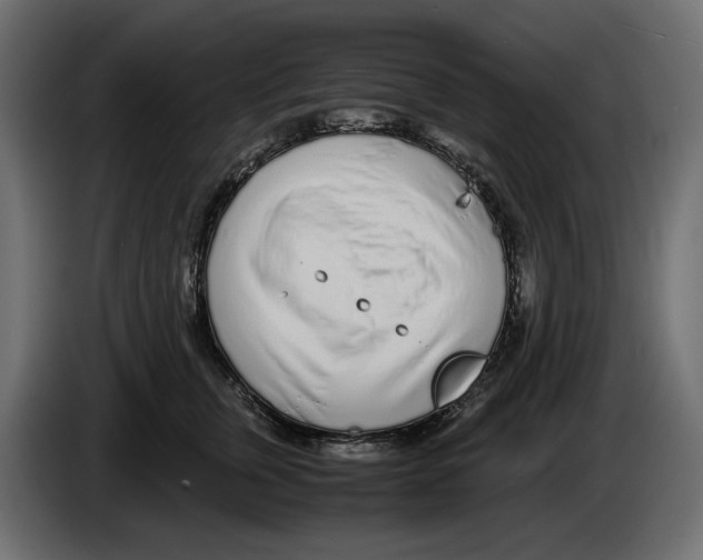 X0000083000759200703020904