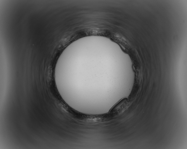 X0000083000760200703020904