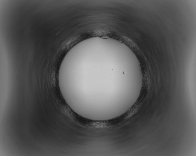 X0000083000762200703020904