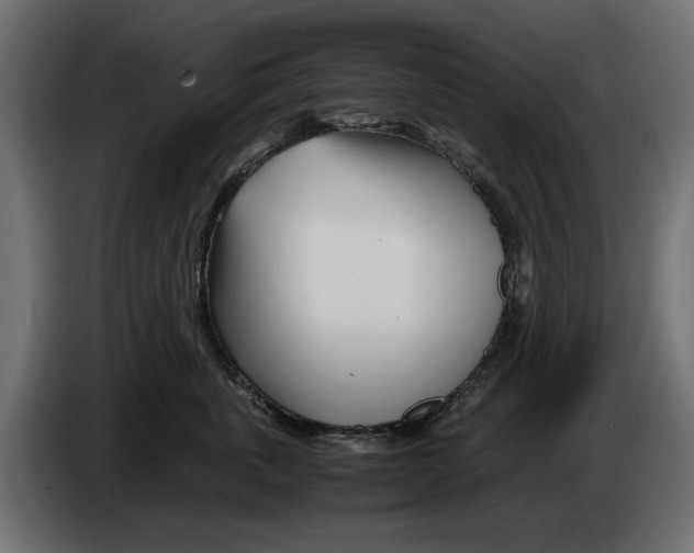 X0000083000763200703020904