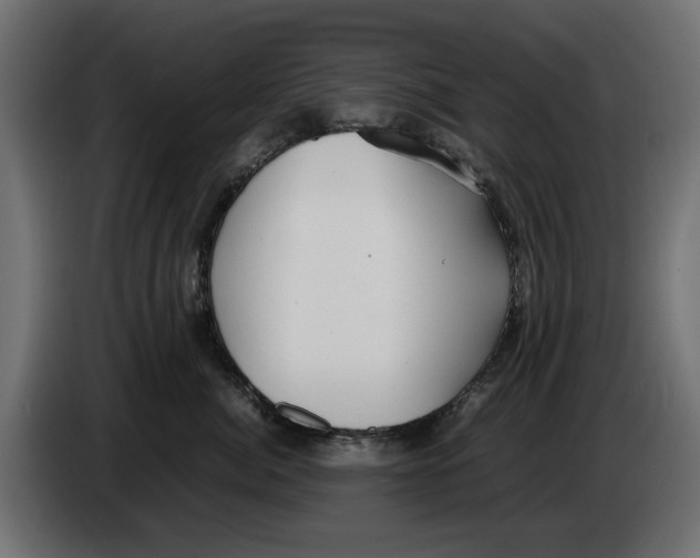 X0000083000764200703020904