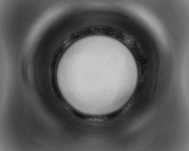 X0000083000765200703020904