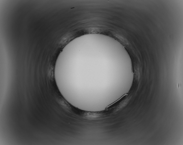 X0000083000766200703020904