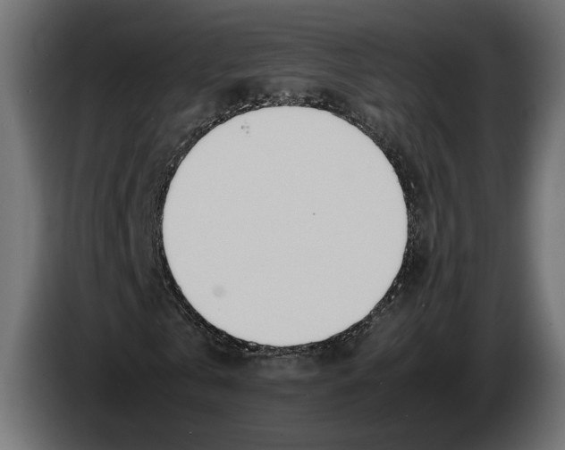 X0000083000769200703020904