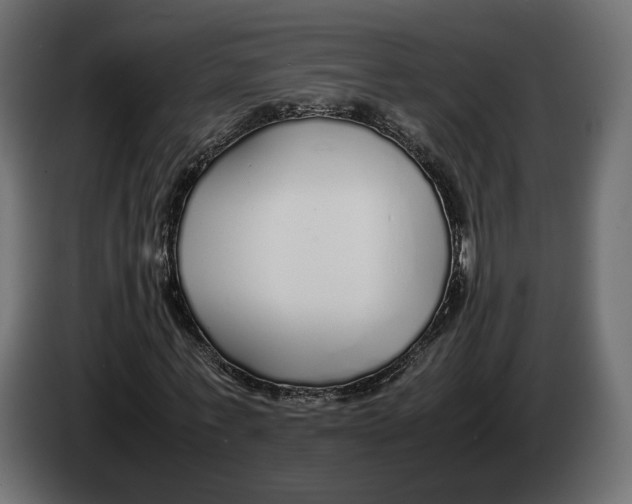 X0000083000771200703020904