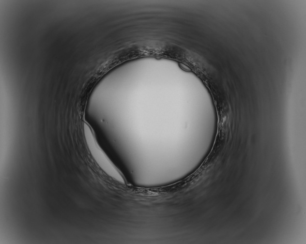 X0000083000772200703020904