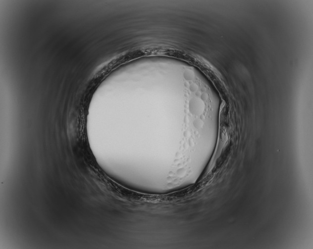 X0000083000775200703020904