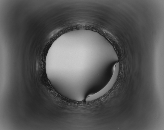 X0000083000776200703020904