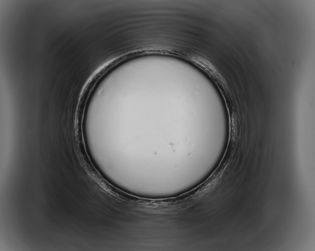 X0000083000780200703020903