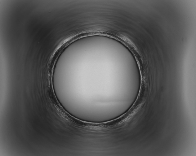 X0000083000781200703020903