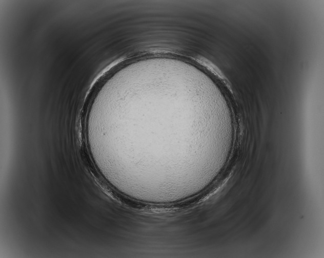 X0000083000782200703020903