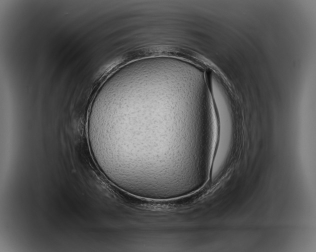 X0000083000785200703020903