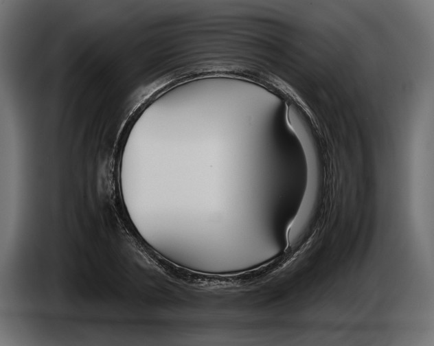 X0000083000786200703020903