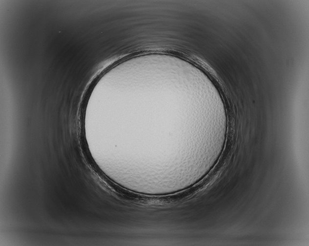 X0000083000787200703020903