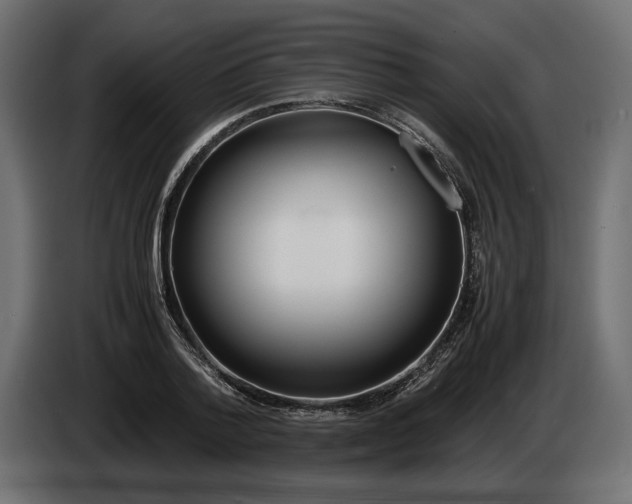 X0000083000788200703020903