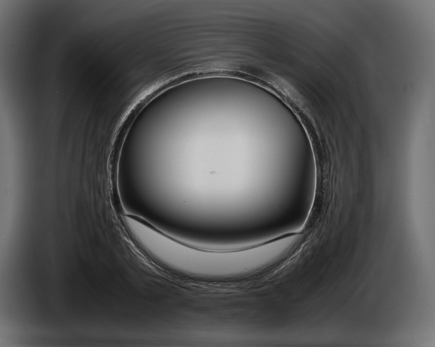 X0000083000789200703020903