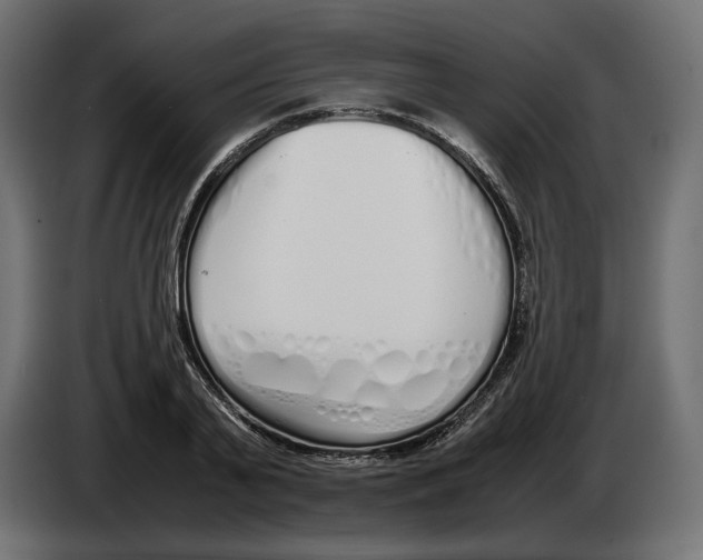 X0000083000791200703020903