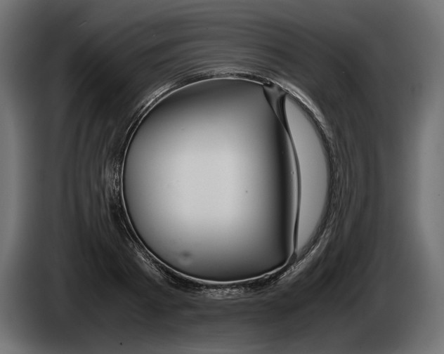 X0000083000793200703020903