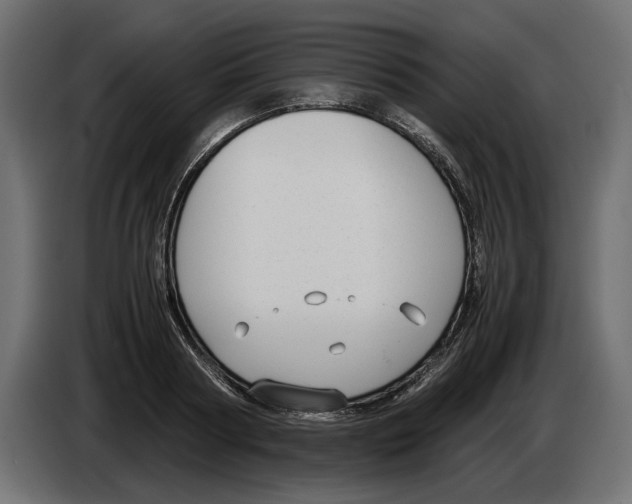 X0000083000794200703020903