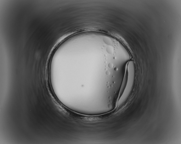 X0000083000795200703020903