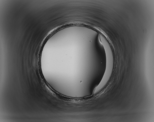 X0000083000799200703020903