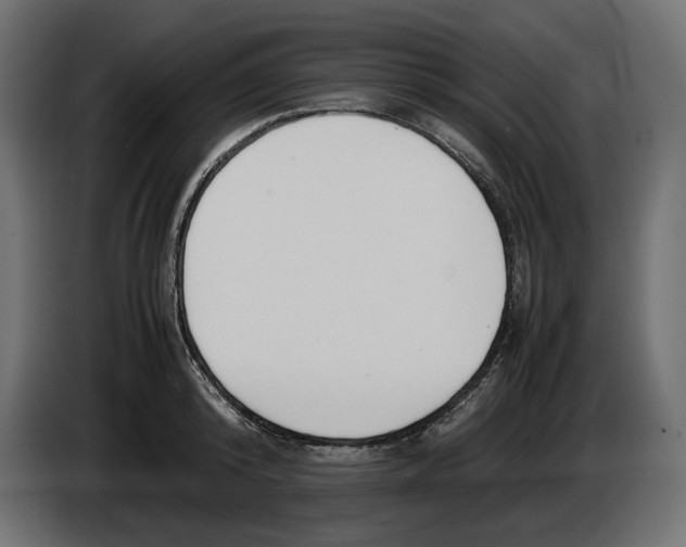 X0000083000800200703020903