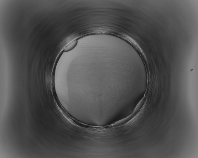 X0000083000802200703020903