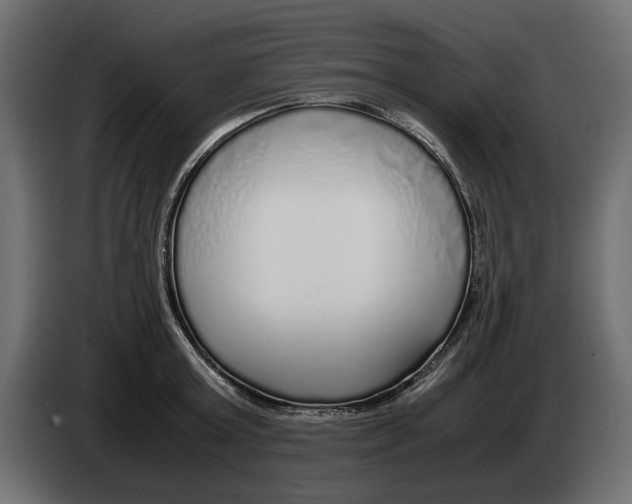 X0000083000803200703020903