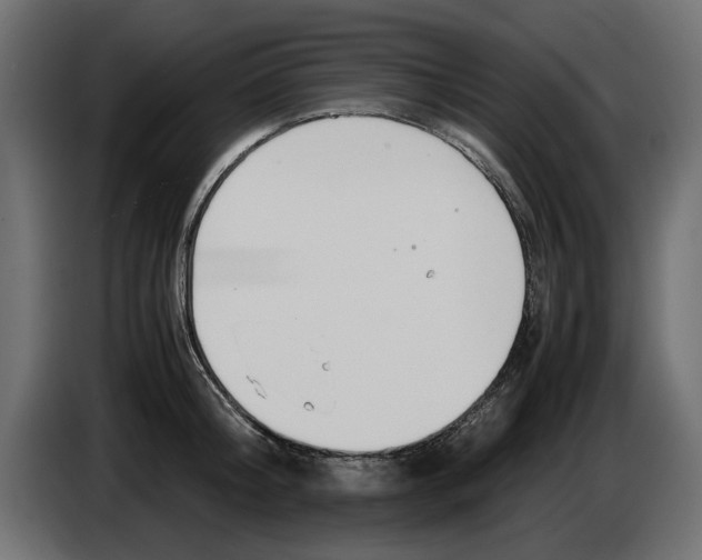 X0000083000804200703020903