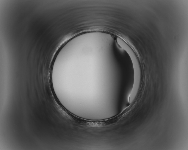 X0000083000805200703020903