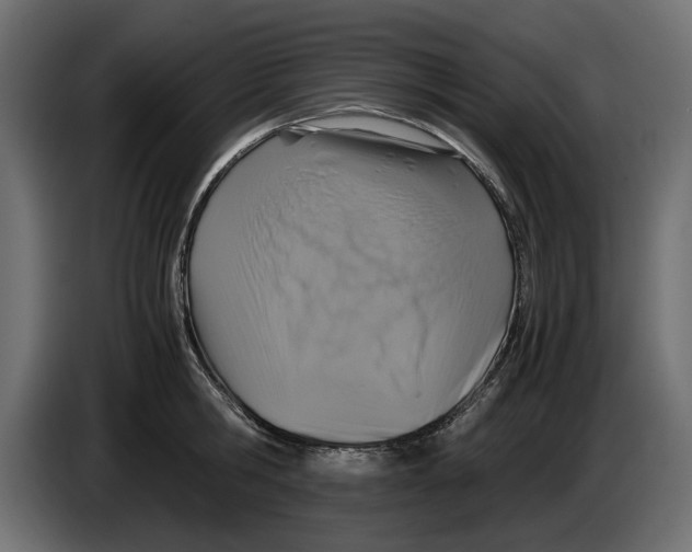 X0000083000806200703020903