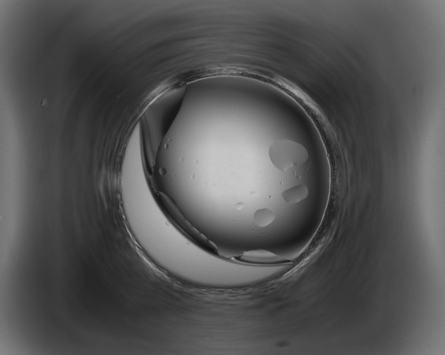 X0000083000809200703020903