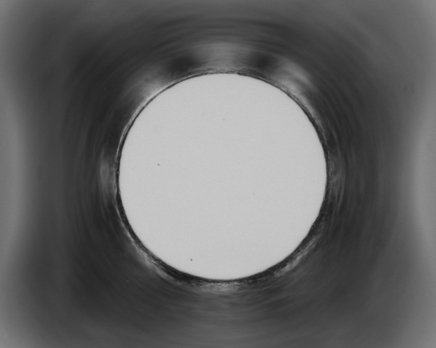 X0000083000810200703020903