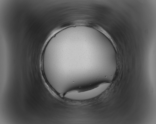 X0000083000811200703020903