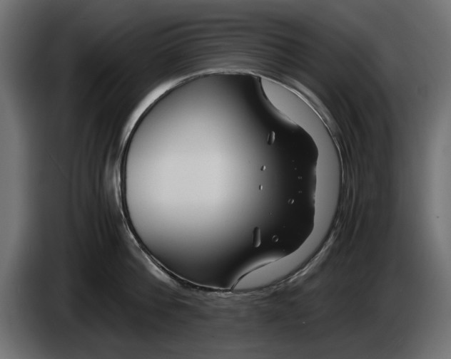 X0000083000812200703020903