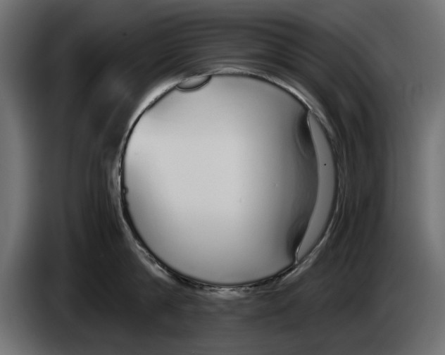 X0000083000814200703020903