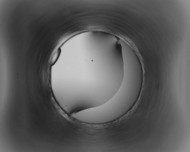 X0000083000816200703020903