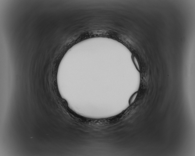 X0000083000817200703020902