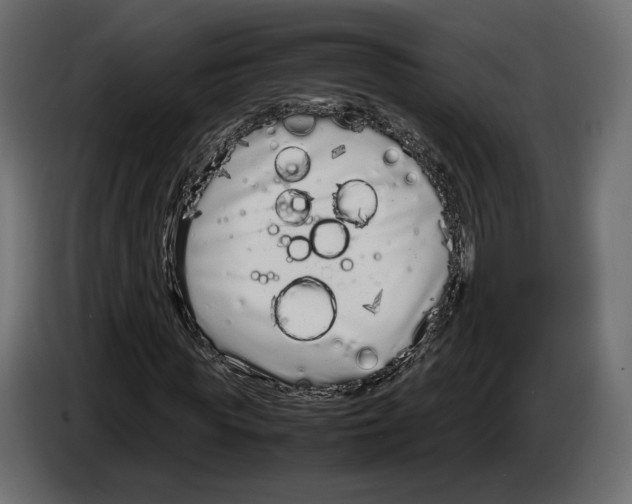 X0000083000819200703020902