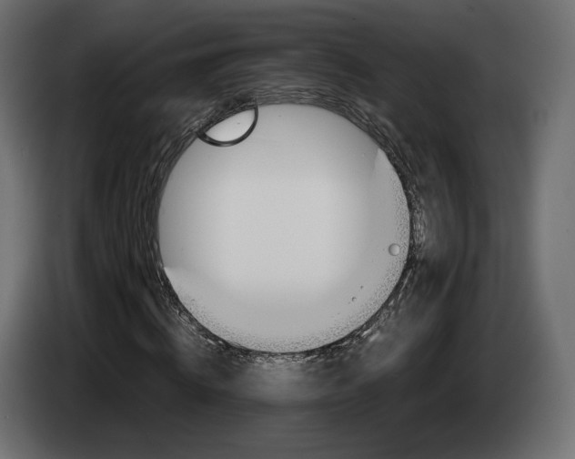 X0000083000820200703020902