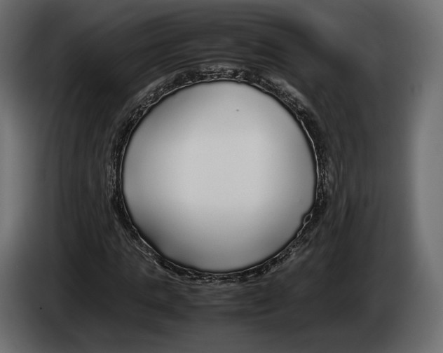 X0000083000821200703020902