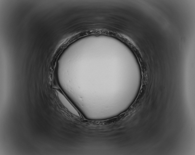 X0000083000823200703020902