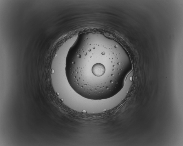 X0000083000824200703020902