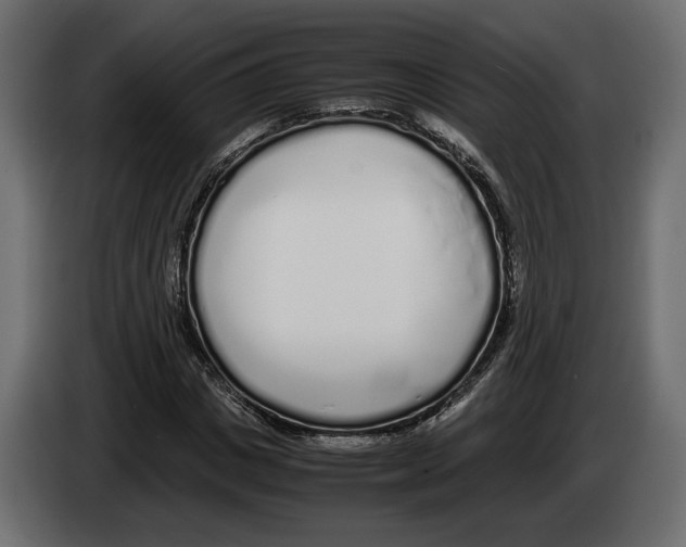 X0000083000825200703020902