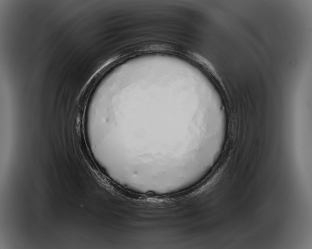 X0000083000827200703020903