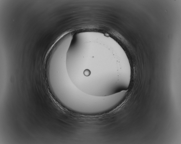 X0000083000828200703020903