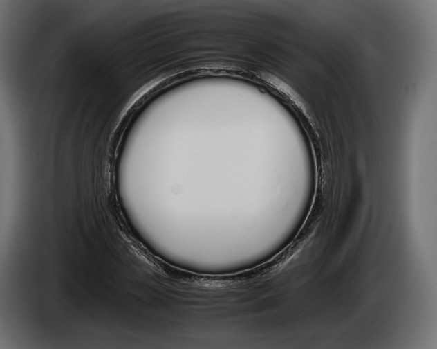 X0000083000829200703020903