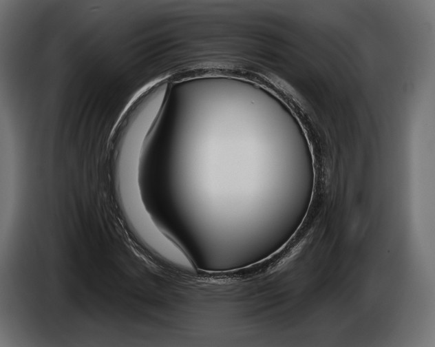 X0000083000830200703020903